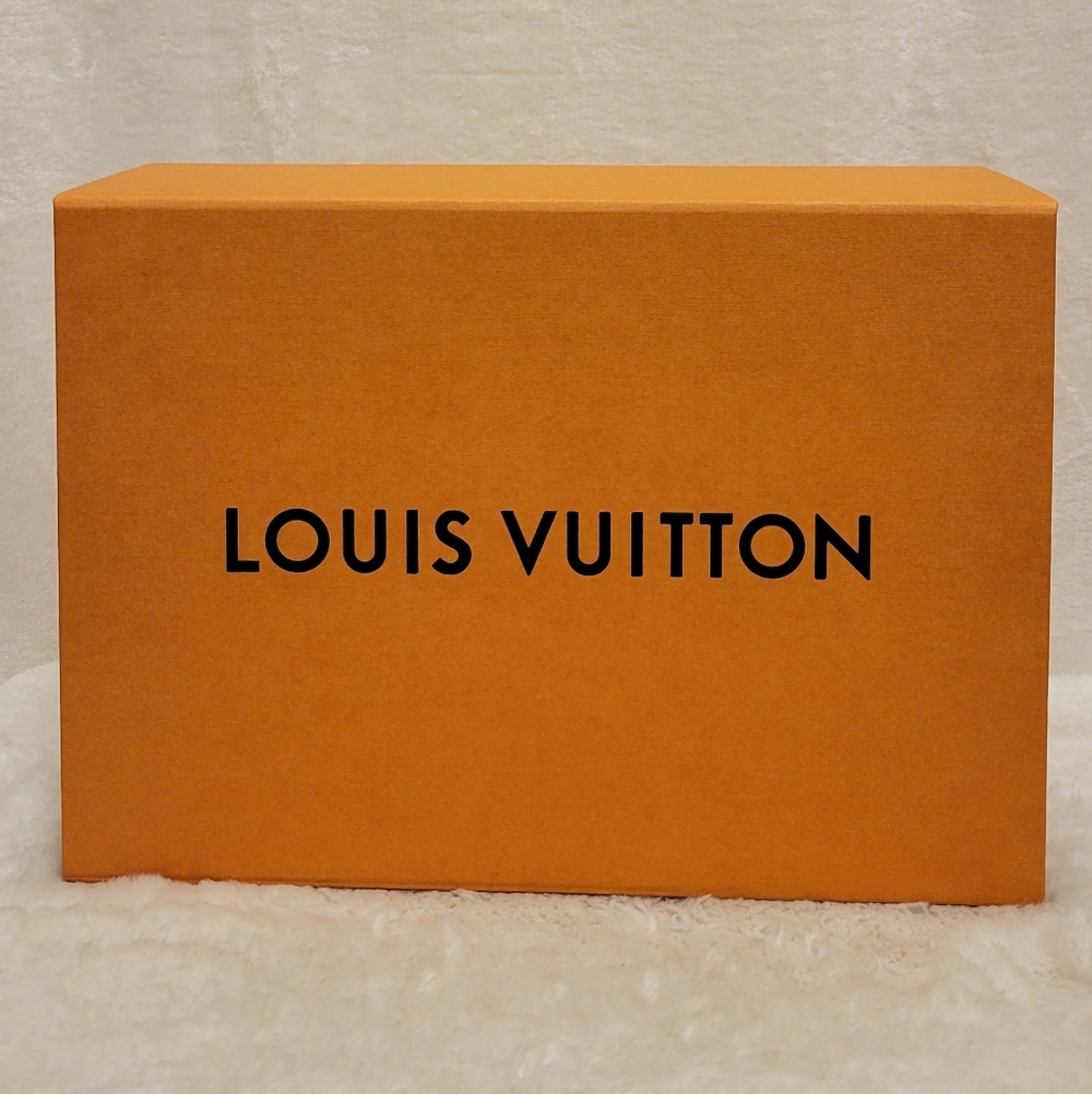Louis Vuittom Shoe Box